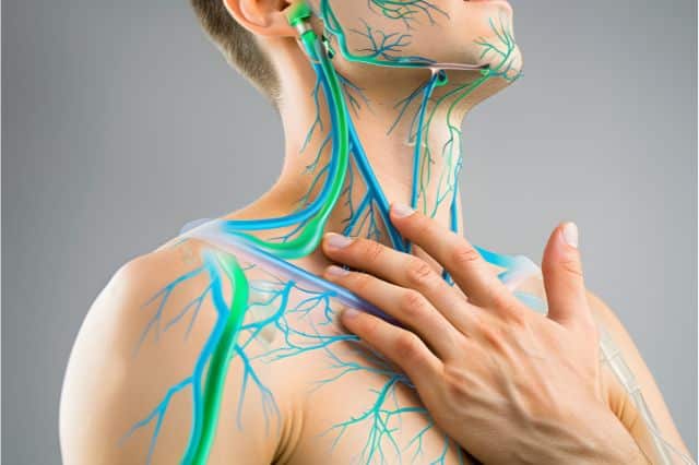 testosteron vitamin d testosteron vitamin d