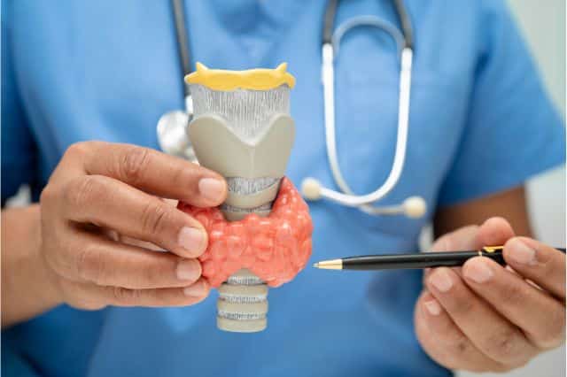 prolaktin beim mann schilddrüse prolaktin beim mann schilddrüse