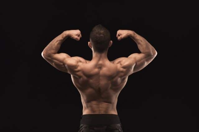 testosteron funktionen testosteron funktionen