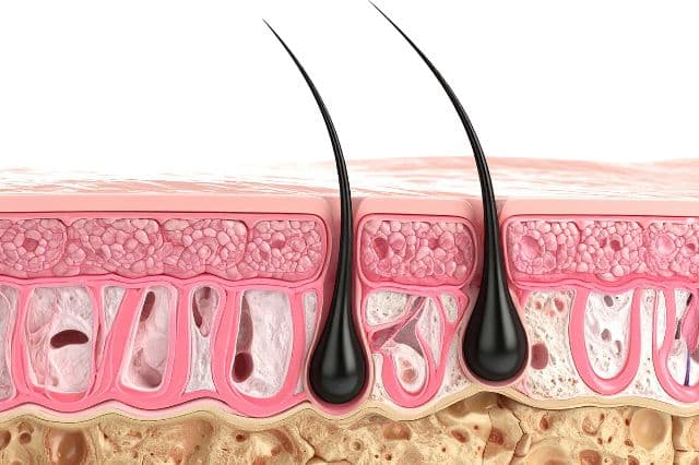 wirkung für männer wirkung für männer